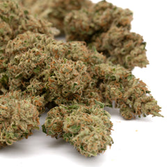 Early Wu CBD Hemp Flower Full-Term - Plants