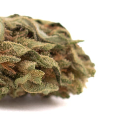 Early Nueve CBD Hemp Flower Full-Term Smalls