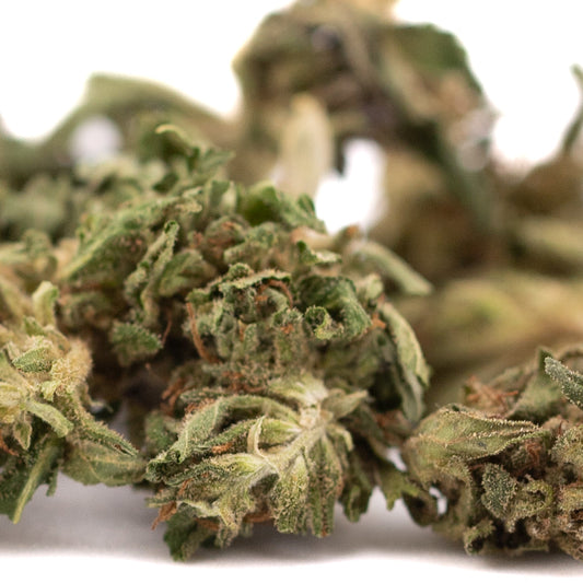 Early Trump CBD Hemp Flower Full-Term Smalls Wholesale