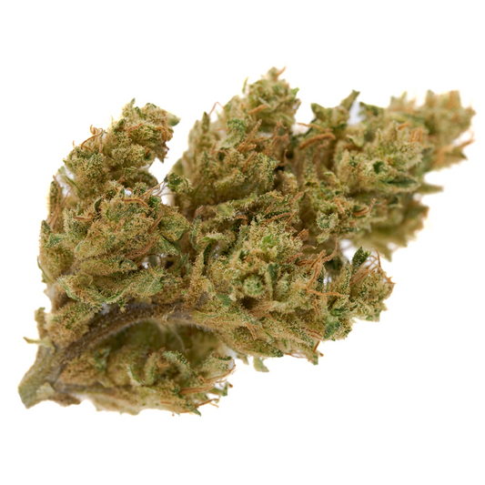 Early Wu CBD Hemp Flower Full-Term - Plants