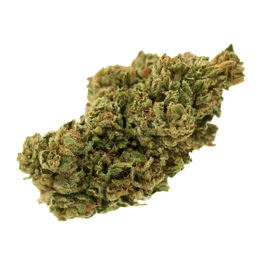 Elektra CBD Hemp Flower - Plants