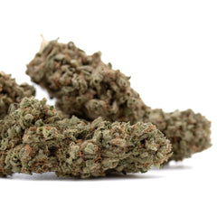 Fog Dog THCa Flower Full-Term