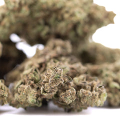 Fornicator THCa Hemp Flower Greenhouse