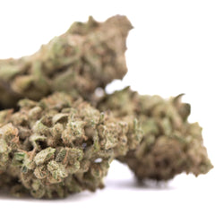 Fornicator THCa Hemp Flower Greenhouse