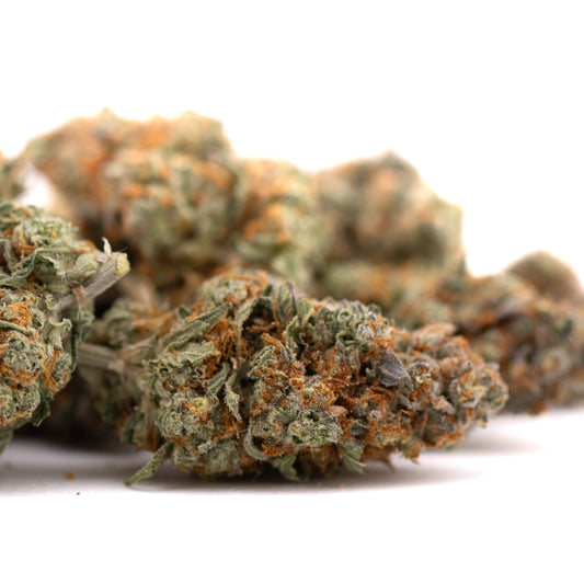 Frosted Flakes Indoor THCa Flower - Plants