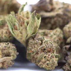 GAS THCa Flower Greenhouse Smalls Wholesale