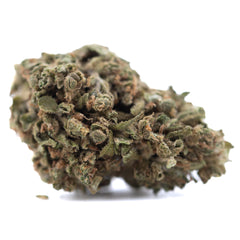 Glue CBD Hemp Flower Full-Term Wholesale