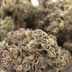 GMO THCa Flower Full-Term