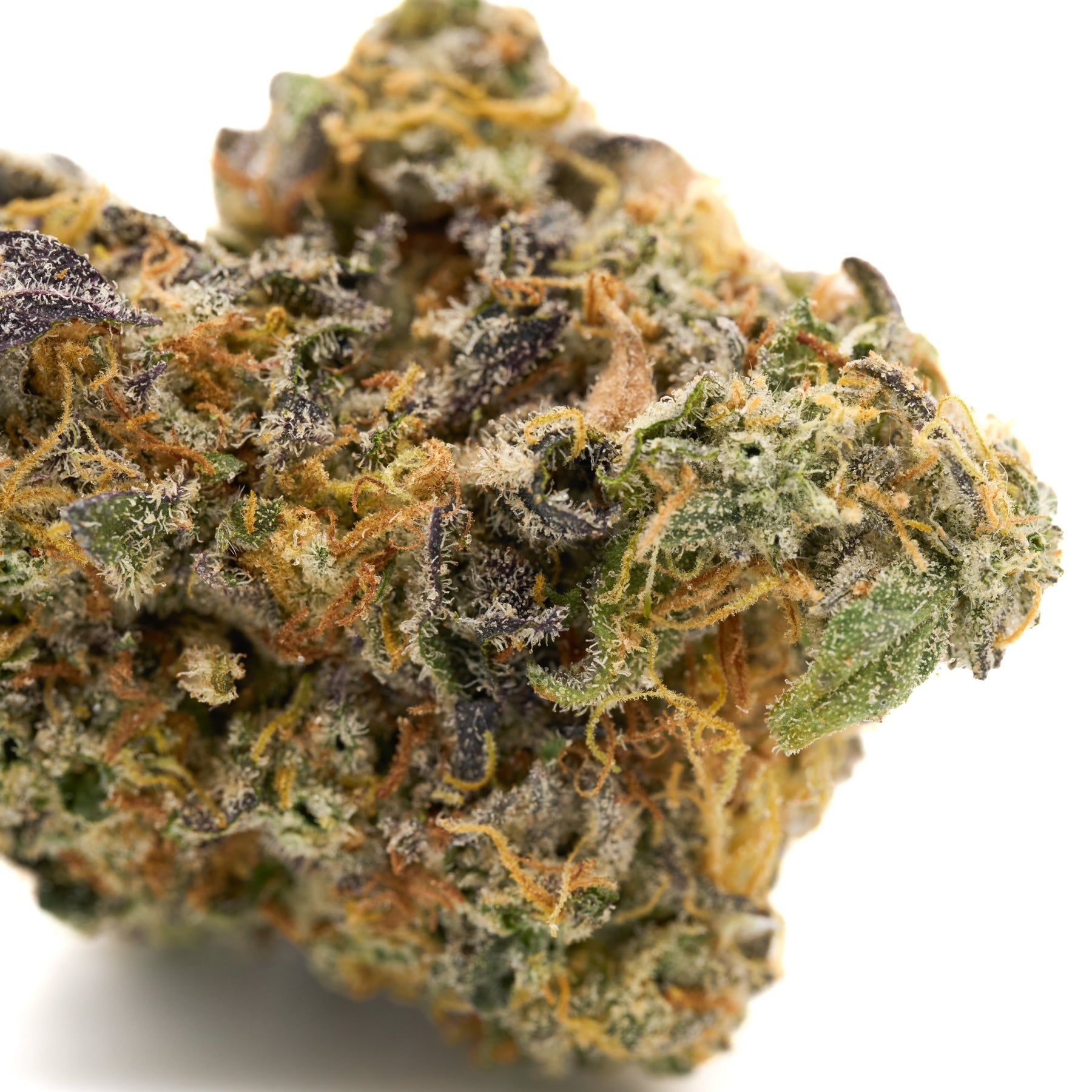 GMO Indoor THCa Flower - Plants