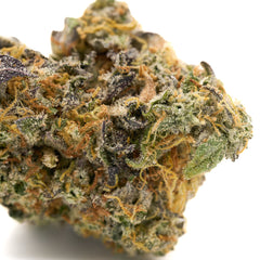 GMO Indoor THCa Flower - Plants