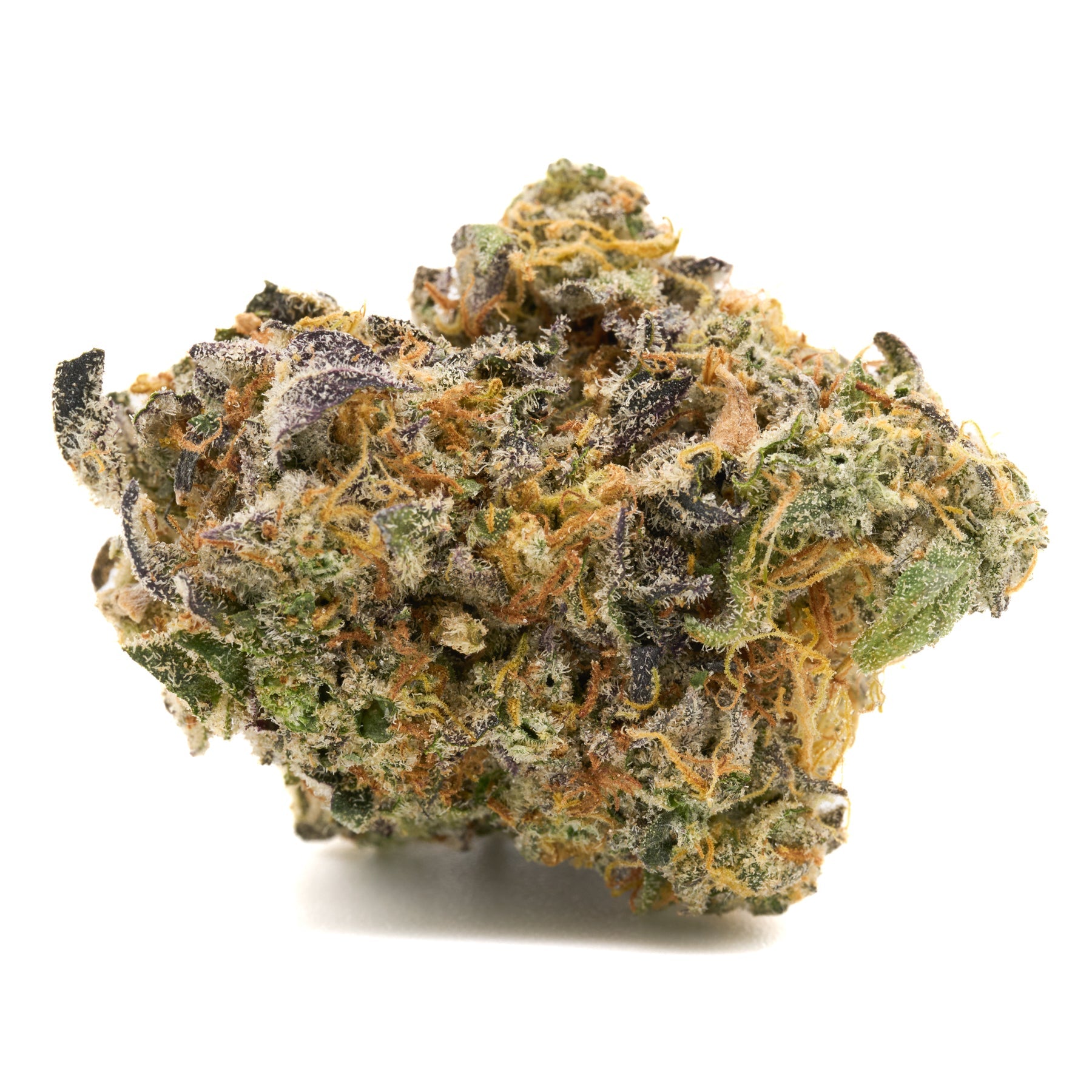 GMO Indoor THCa Flower - Plants