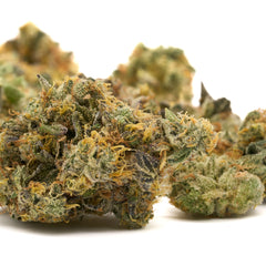 GMO Indoor THCa Flower - Plants