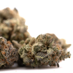 Garlic OG Indoor THCa Flower Wholesale - Plants