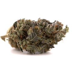 Gary Payton Indoor THCa Flower Wholesale - Plants