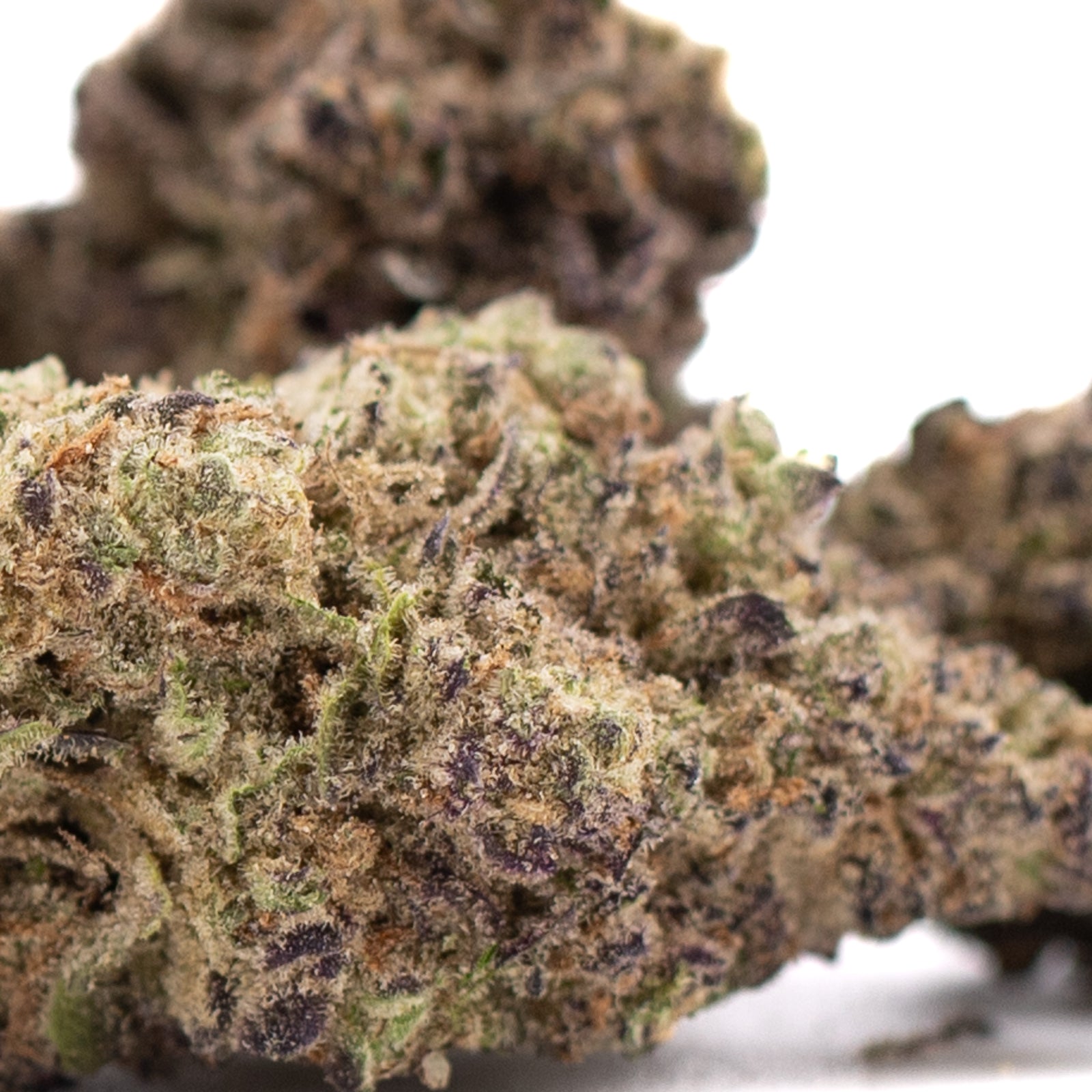 Gas Monkey THCa Hemp Flower Greenhouse - Plants