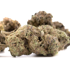 Gas Monkey THCa Hemp Flower Greenhouse - Plants