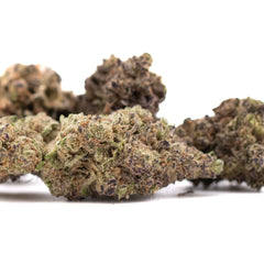 Gas Monkey THCa Hemp Flower Greenhouse - Plants