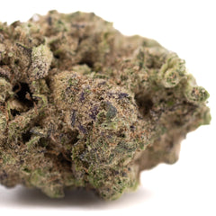 Gas Monkey THCa Hemp Flower Greenhouse - Plants