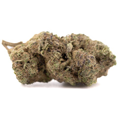 Gas Monkey THCa Hemp Flower Greenhouse - Plants