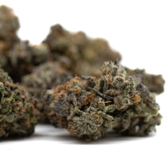 Gas Indoor THCa Flower - Plants