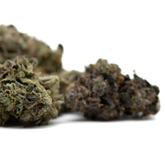 Gas Indoor THCa Flower - Plants