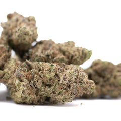 Gassa Purple THCa Hemp Flower Greenhouse