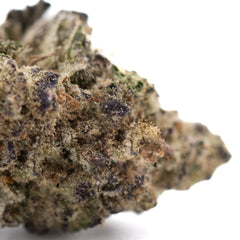 Gassa Purple THCa Hemp Flower Greenhouse