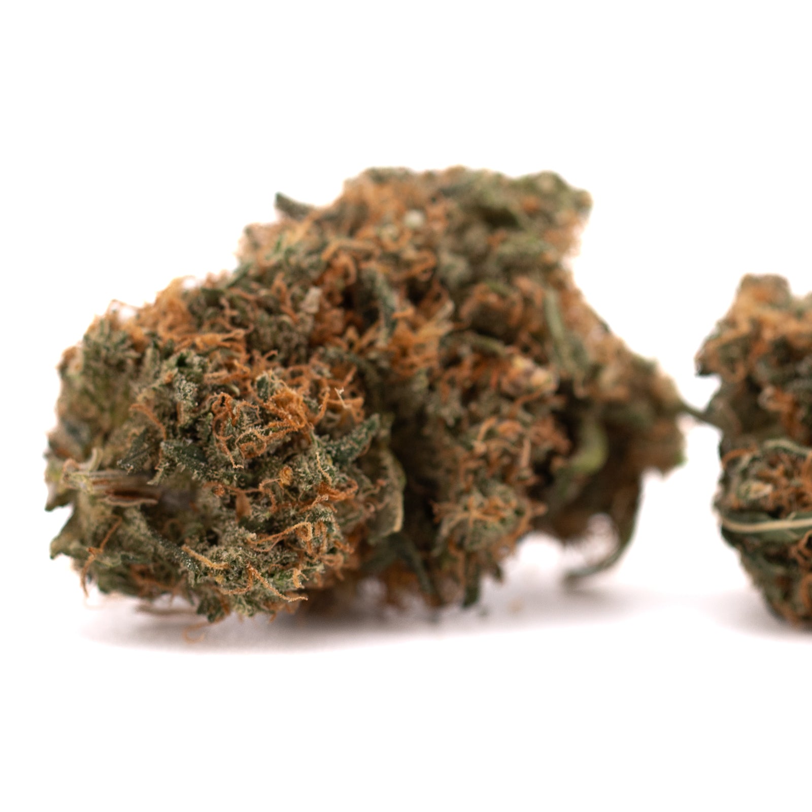 Gelato Mints Indoor THCa Flower - Plants