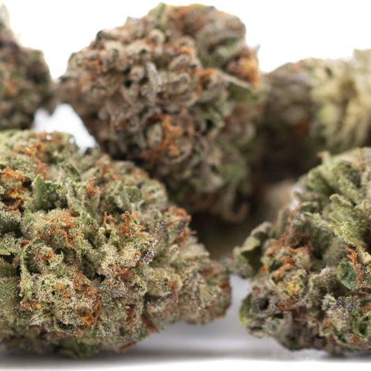 Gelato THCa Hemp Flower Greenhouse Wholesale