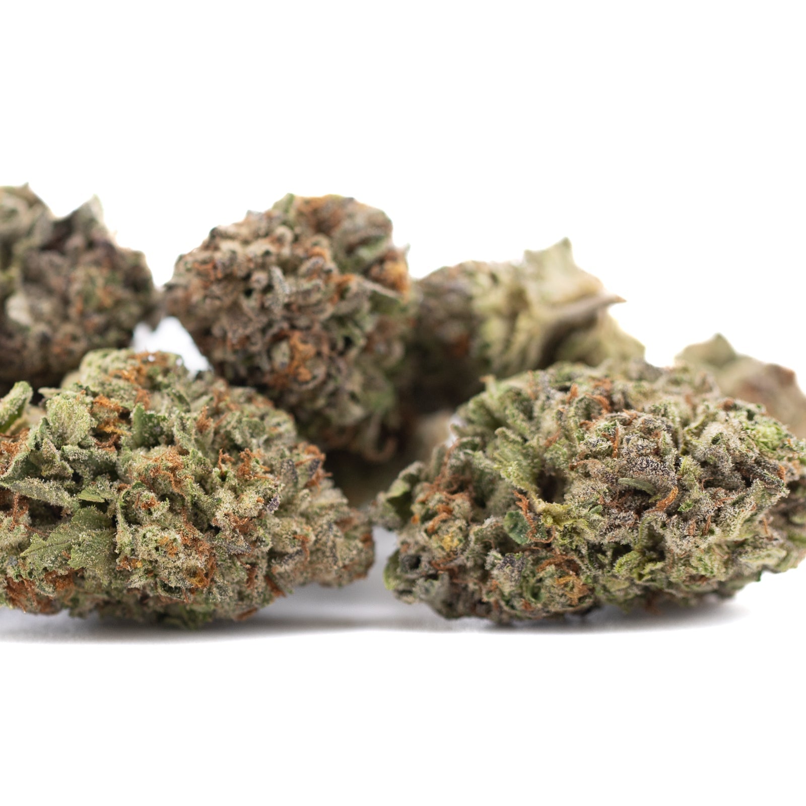 Gelato THCa Hemp Flower Greenhouse - Plants