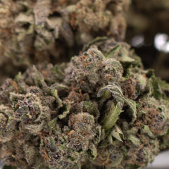 Giggle Gas THCa Hemp Flower Greenhouse