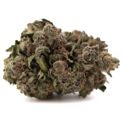 Giggle Gas THCa Hemp Flower Greenhouse