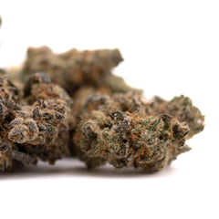 Giggle Gas Indoor THCa Flower - Plants