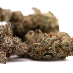 Giggle Gas Indoor THCa Flower - Plants