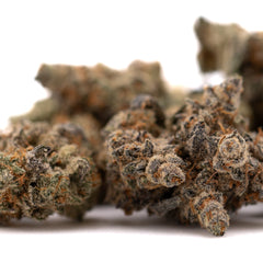 Giggle Gas Indoor THCa Flower - Plants