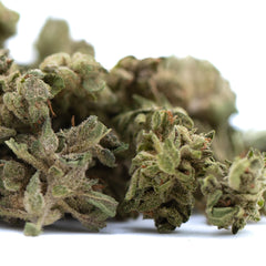 Glue CBD Hemp Flower Full-Term Smalls Wholesale