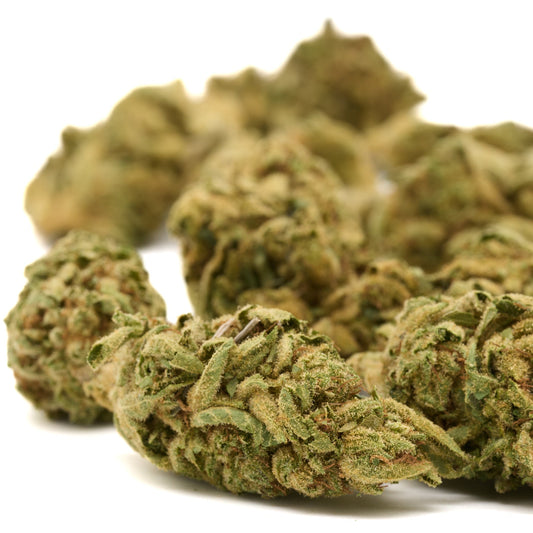 Gorilla Glue THCa Hemp Flower Greenhouse Wholesale - Plants