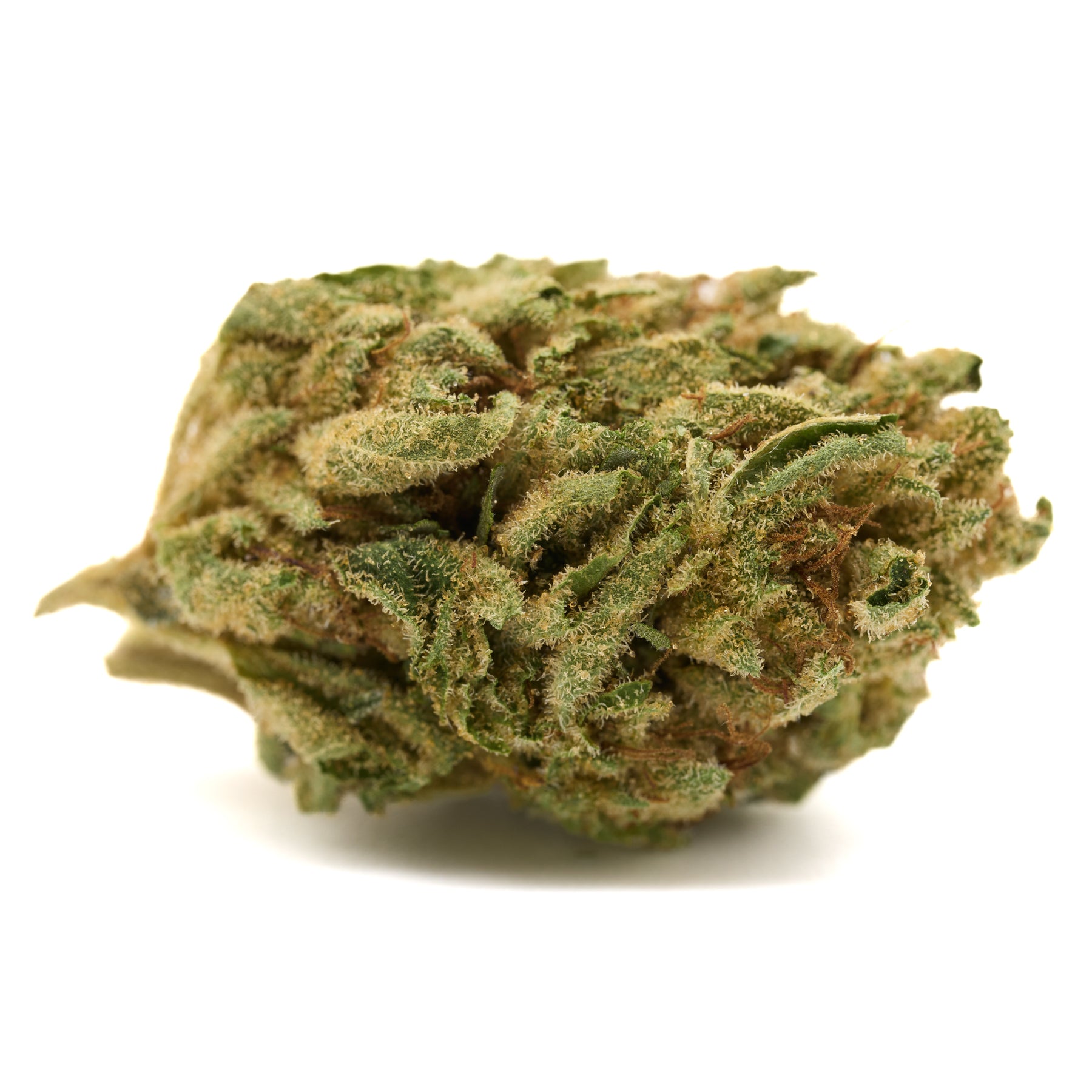 Gorilla Glue THCa Hemp Flower Greenhouse Wholesale - Plants