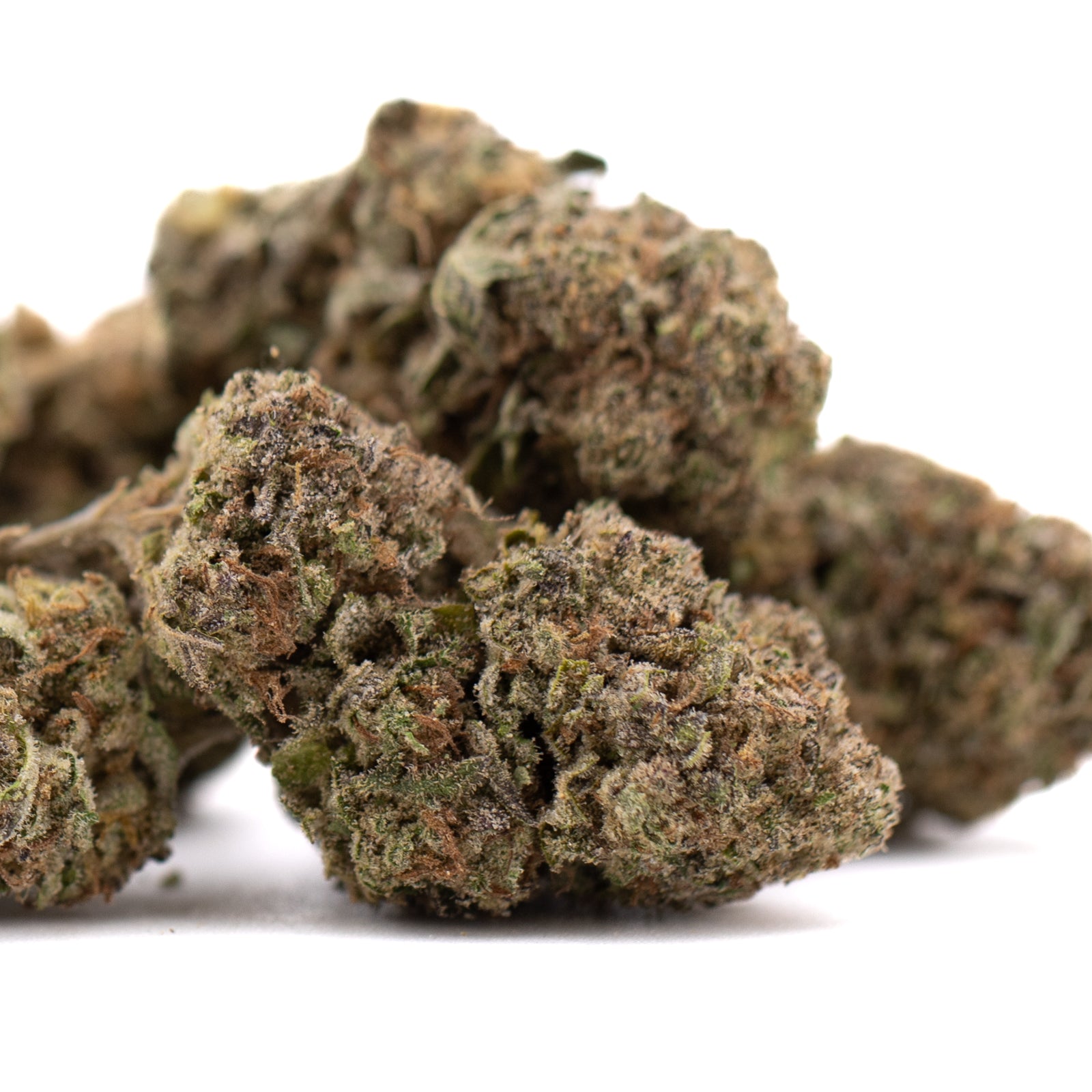 Government Oasis THCa Hemp Flower Greenhouse - Plants