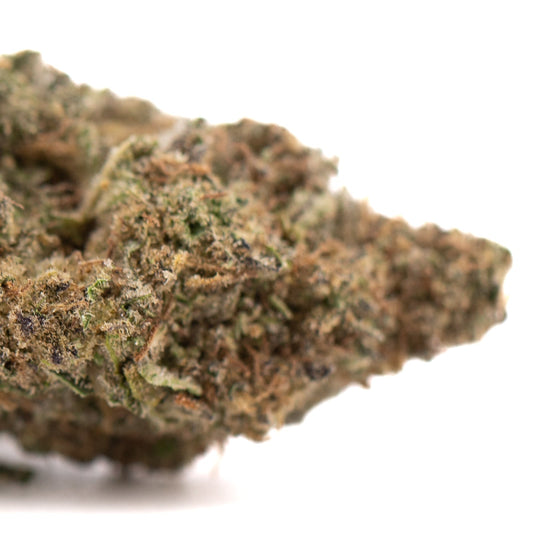 Government Oasis THCa Hemp Flower Greenhouse - Plants