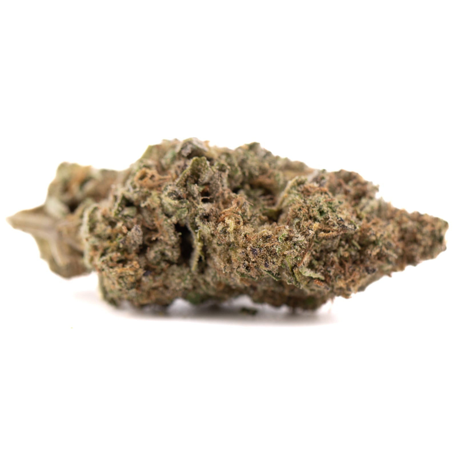 Government Oasis THCa Hemp Flower Greenhouse - Plants