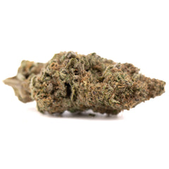 Government Oasis THCa Hemp Flower Greenhouse - Plants