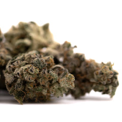 Green Crack Indoor THCa Flower - Plants