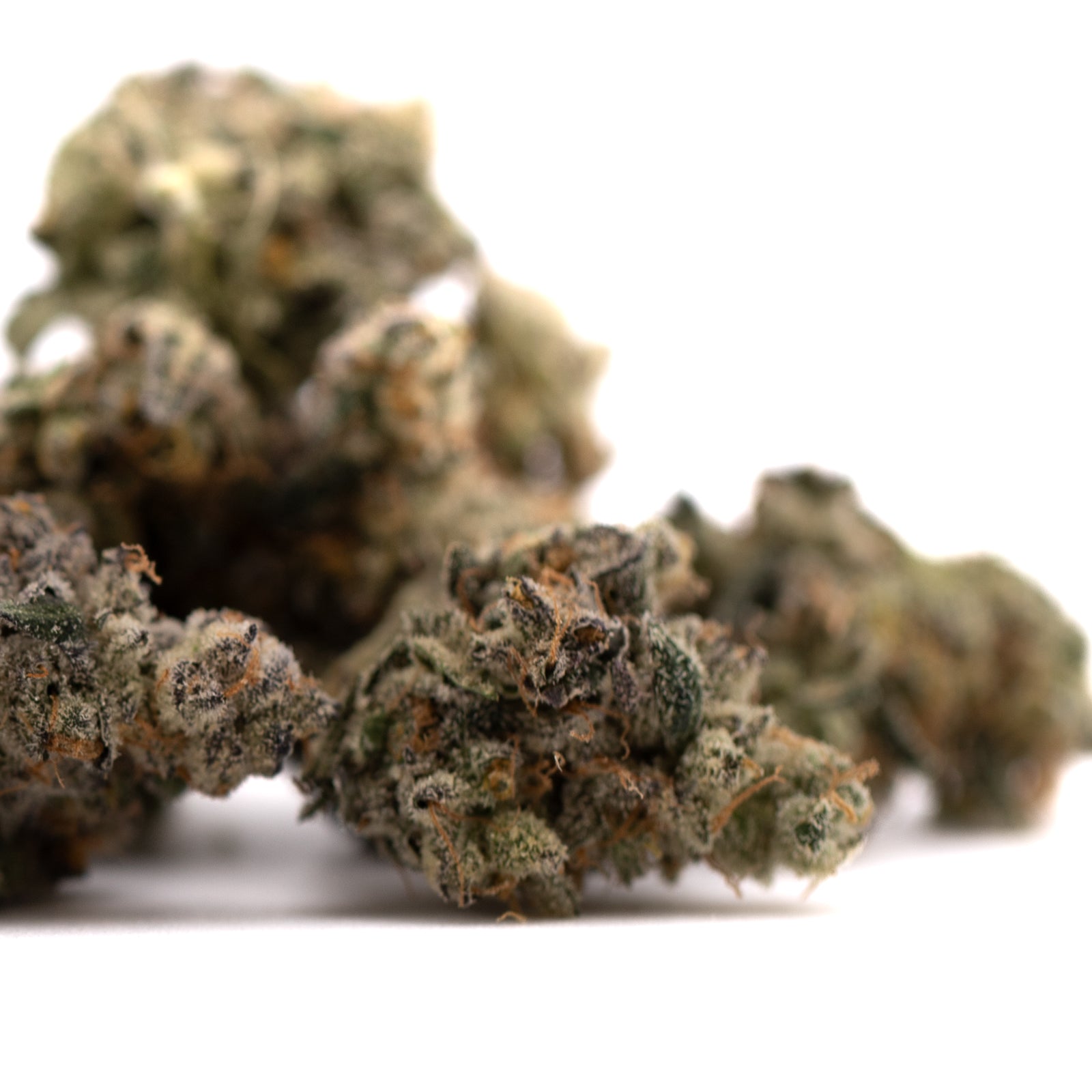 Green Crack Indoor THCa Flower - Plants