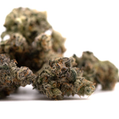 Green Crack Indoor THCa Flower - Plants