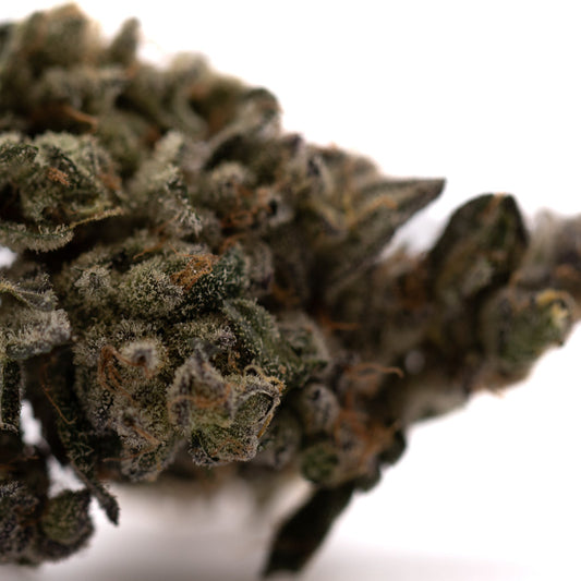 Green Crack Indoor THCa Flower - Plants