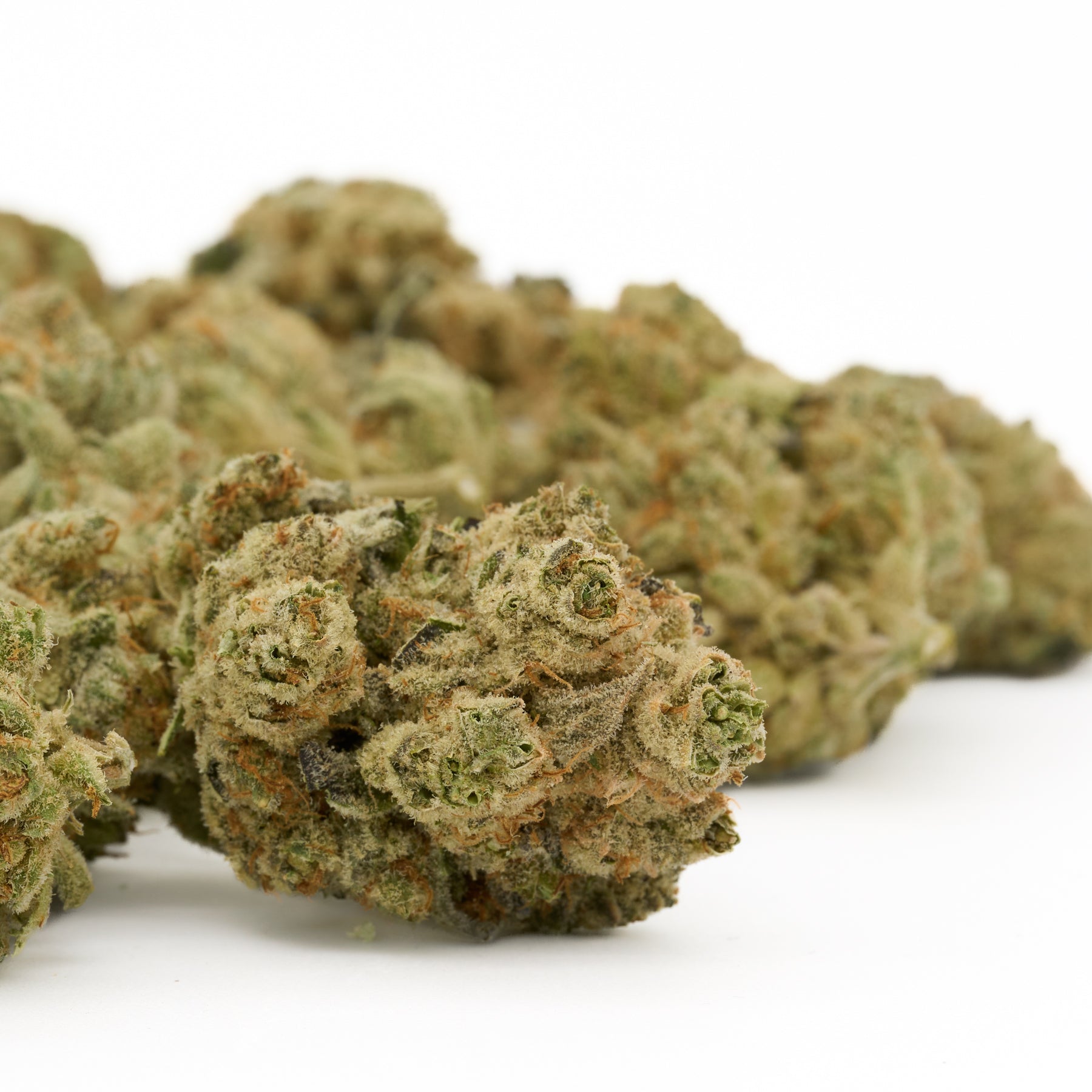 Grizzly Gas Indoor THCa Flower - Plants