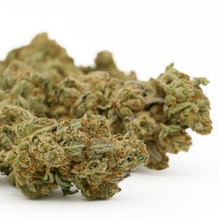 Grizzly Gas Indoor THCa Flower - Plants