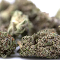 Guava Tartz THCa Hemp Flower Greenhouse Smalls