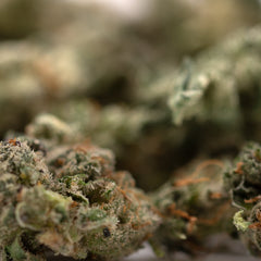Guava Z Indoor THCa Flower Smalls - Plants